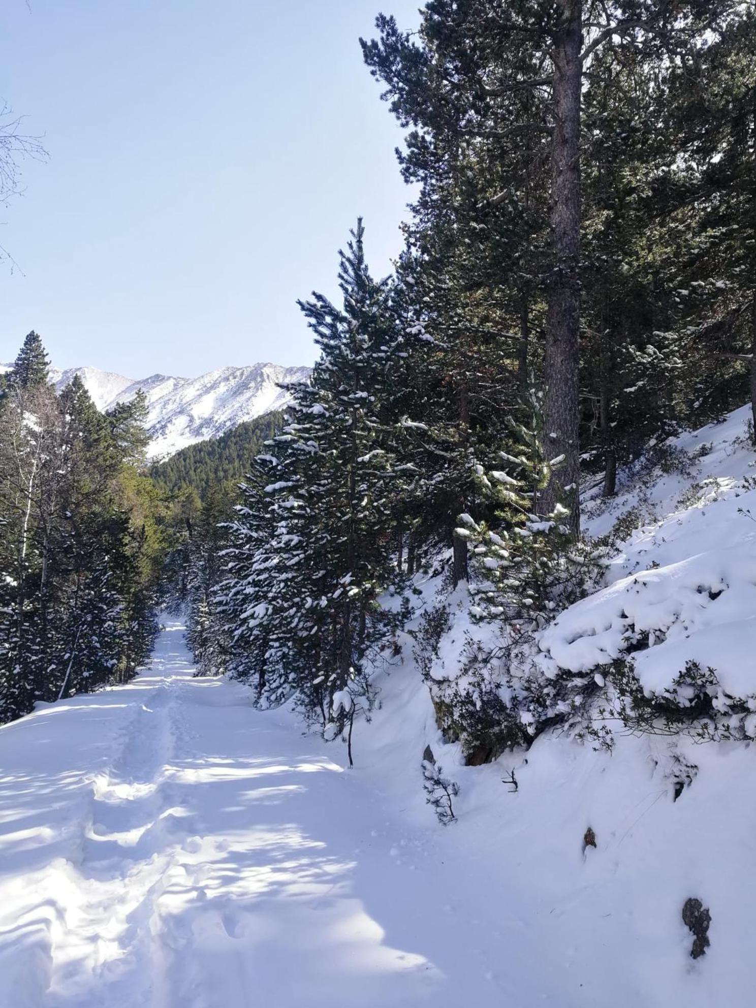 Pyrenees Catalanes Tres Joli Appartement 300M Telecabines Font-Romeu-Odeillo-Via Eksteriør bilde