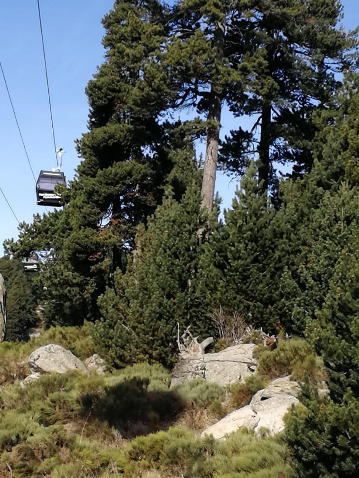 Pyrenees Catalanes Tres Joli Appartement 300M Telecabines Font-Romeu-Odeillo-Via Eksteriør bilde
