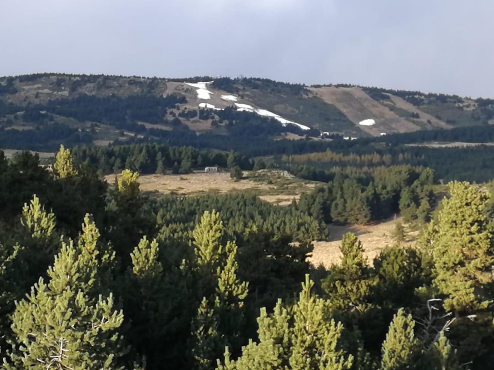 Pyrenees Catalanes Tres Joli Appartement 300M Telecabines Font-Romeu-Odeillo-Via Eksteriør bilde