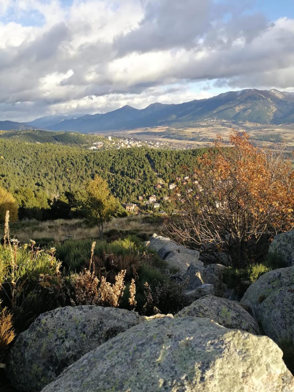 Pyrenees Catalanes Tres Joli Appartement 300M Telecabines Font-Romeu-Odeillo-Via Eksteriør bilde